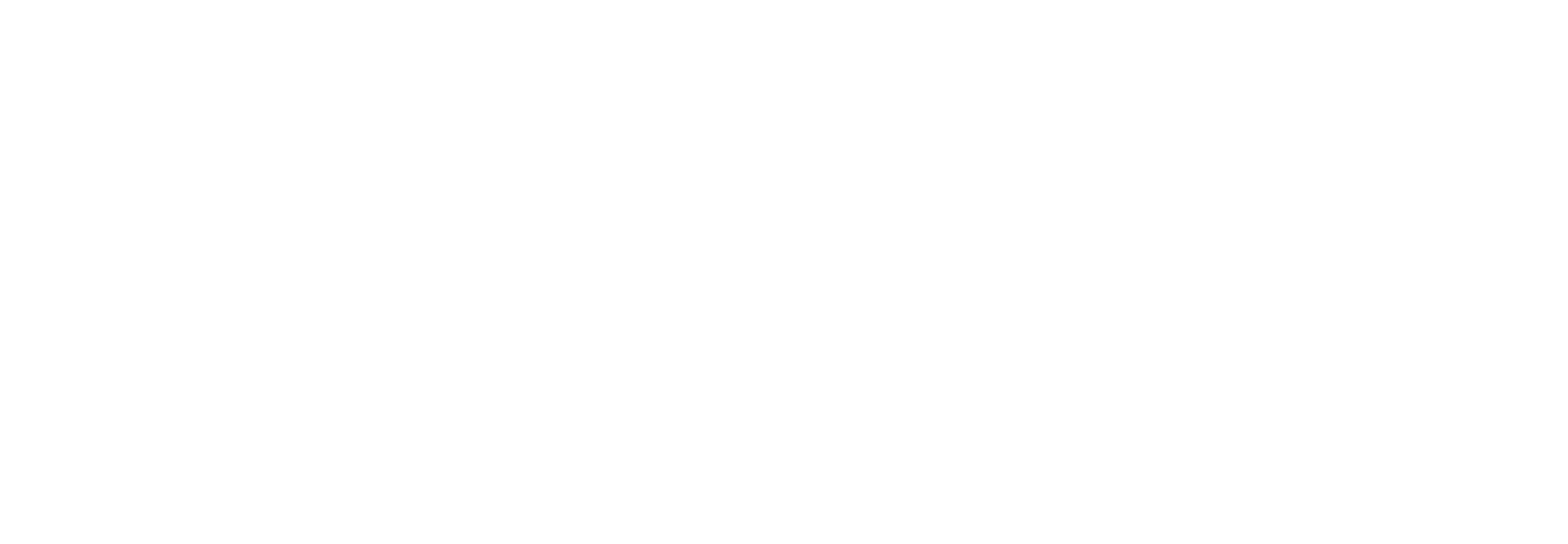 Piloto Master